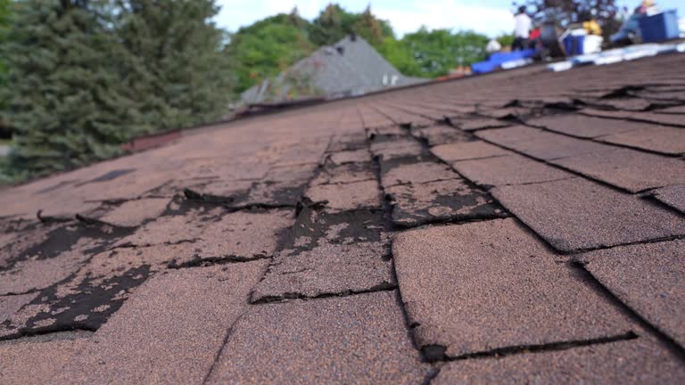Best Solar Panel Roofing Installation  in Decatur, MI