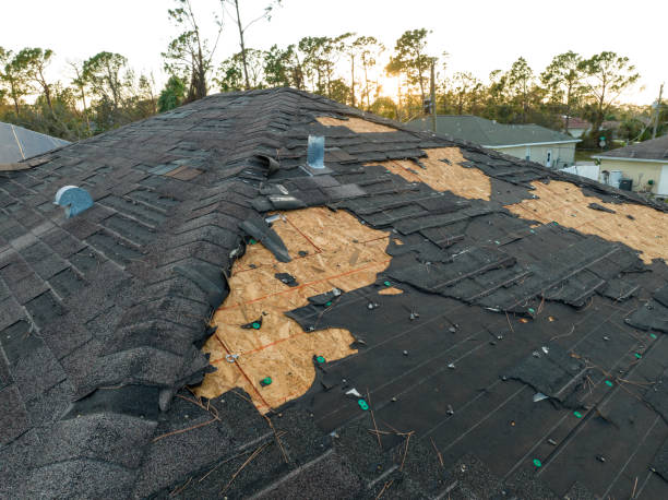 Best Cold Roofs  in Decatur, MI