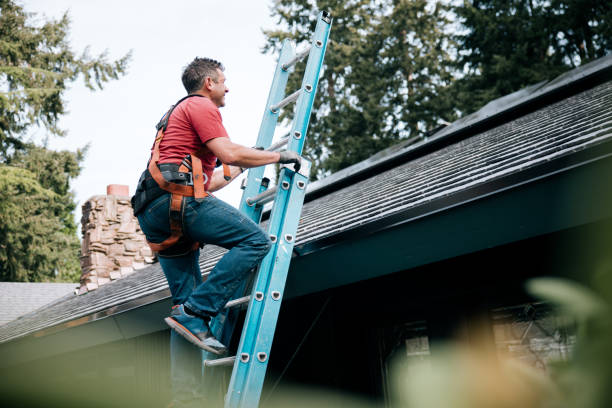 Best Roof Coating Services  in Decatur, MI